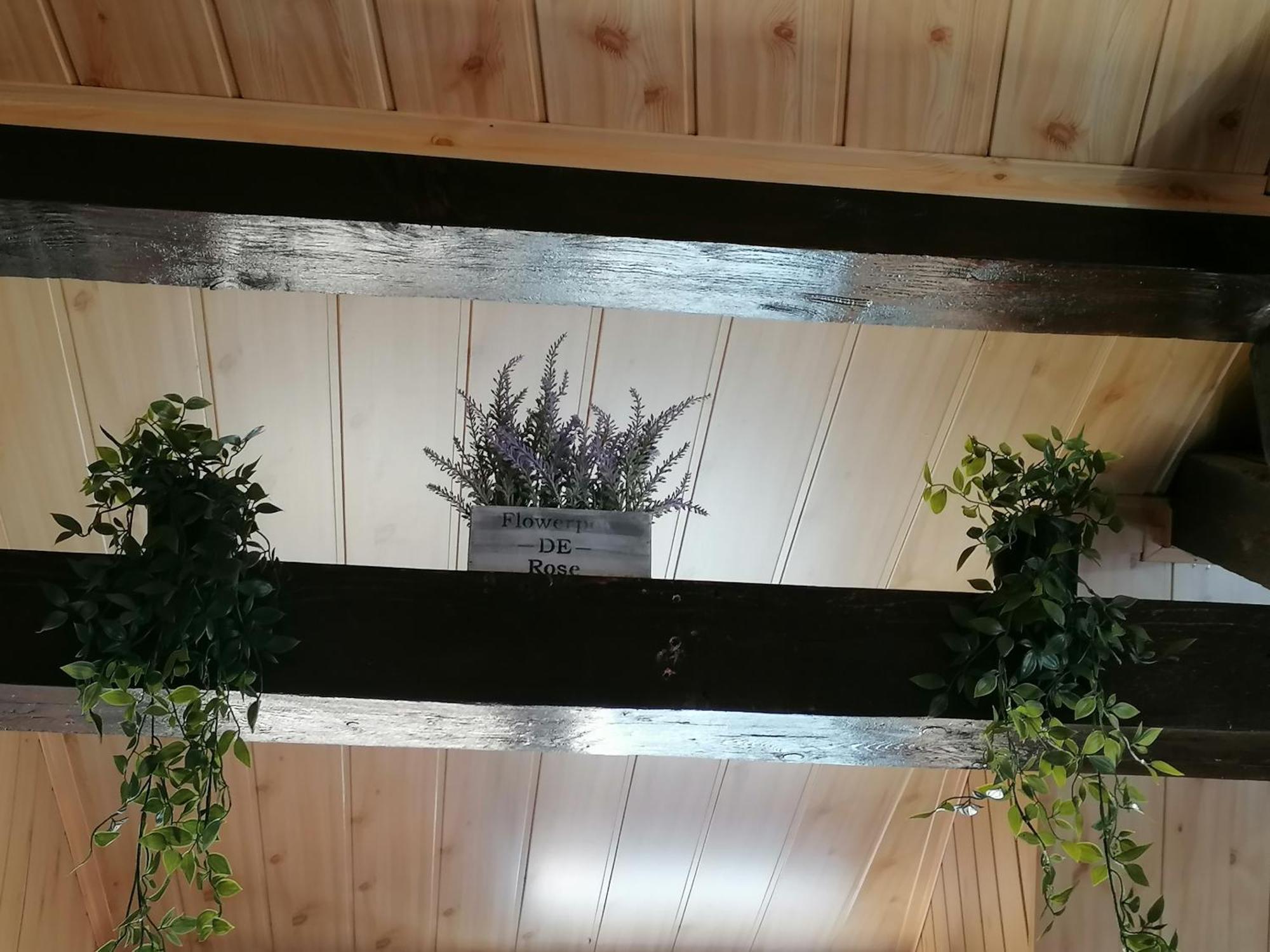 Cozy Attic Studio Braşov Eksteriør bilde